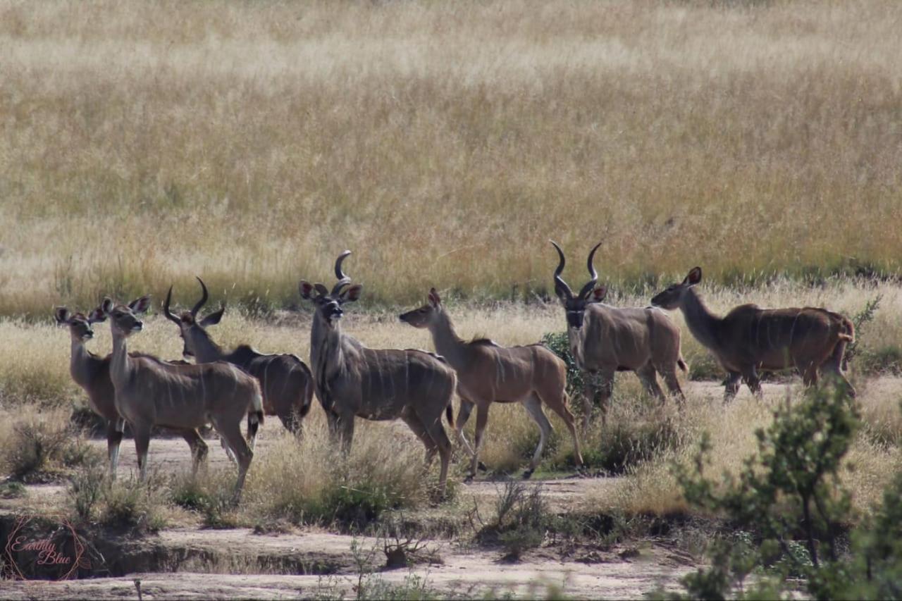 Letsatsi Game Lodge Smithfield Luaran gambar