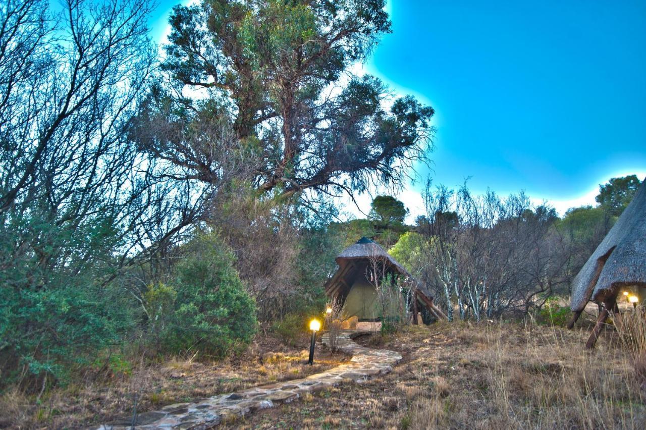 Letsatsi Game Lodge Smithfield Luaran gambar