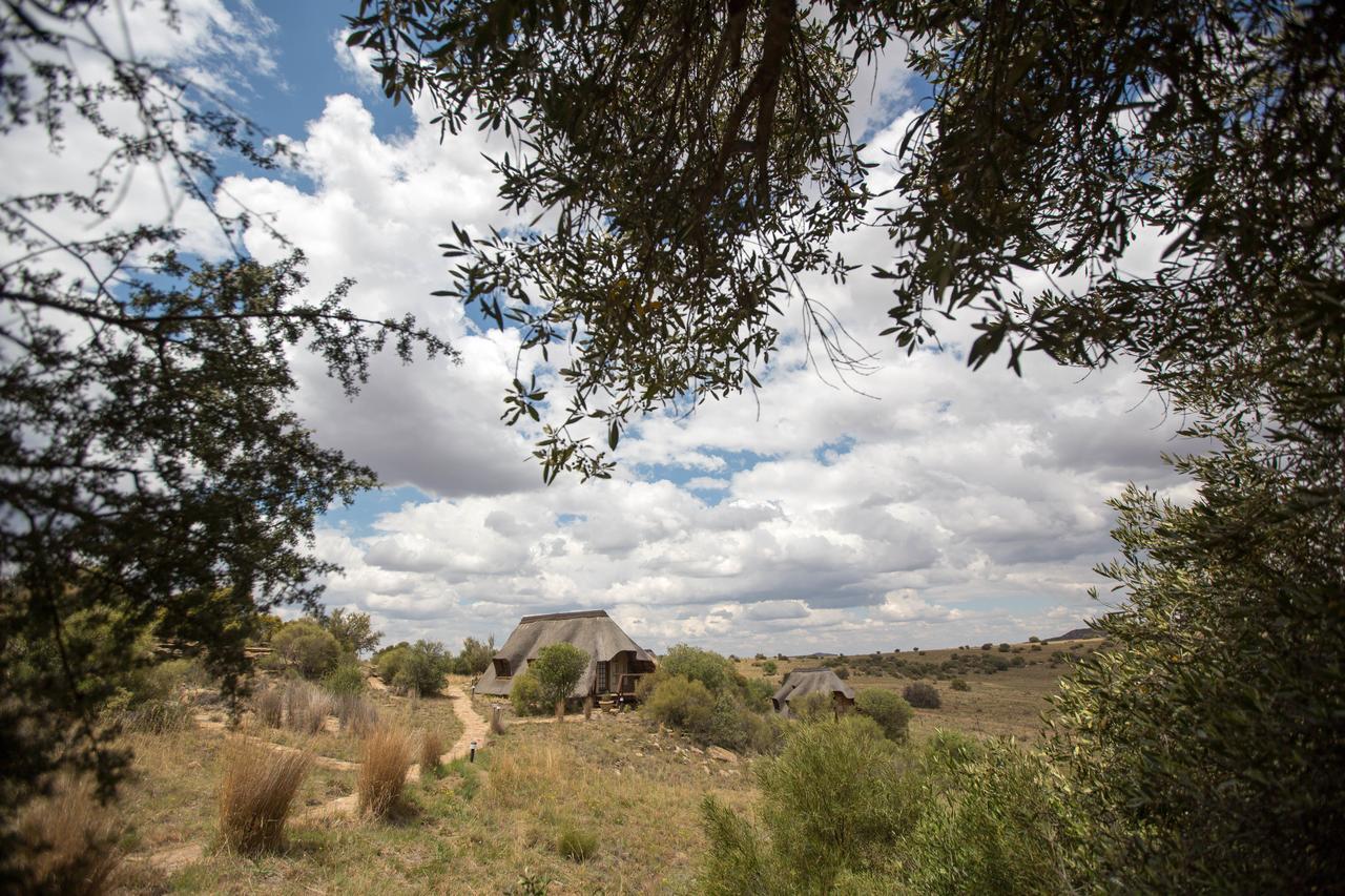 Letsatsi Game Lodge Smithfield Luaran gambar