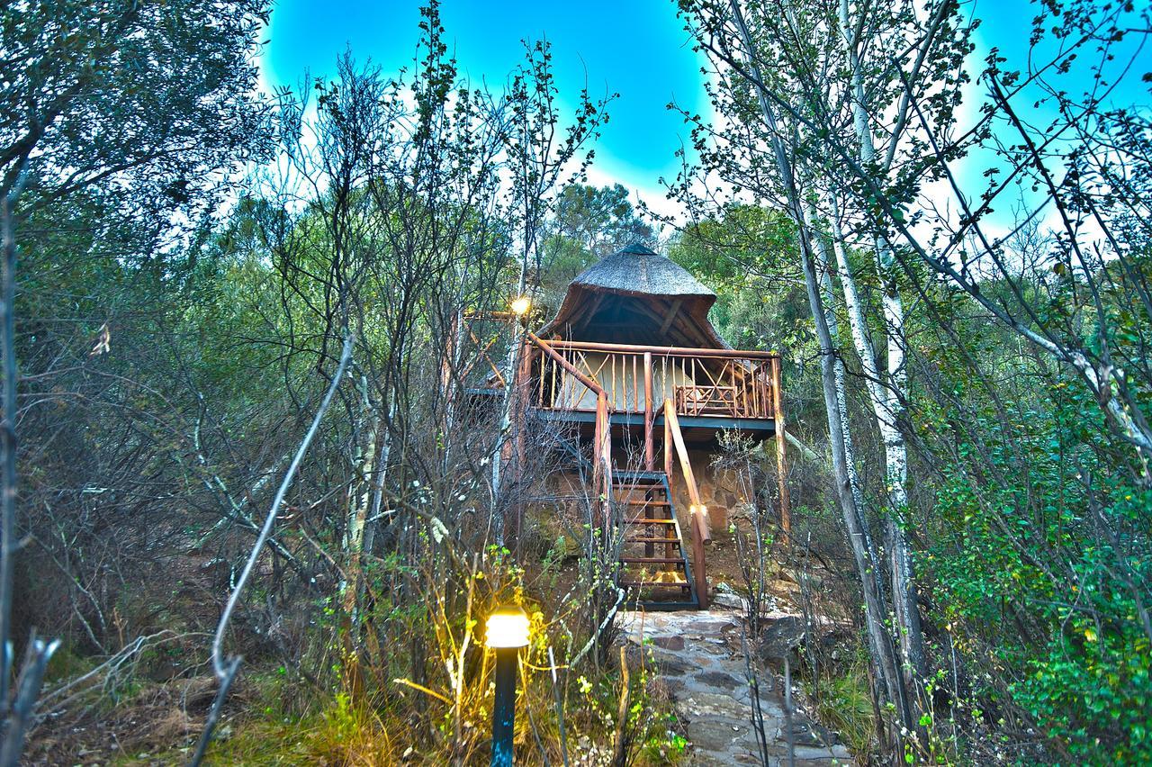 Letsatsi Game Lodge Smithfield Luaran gambar